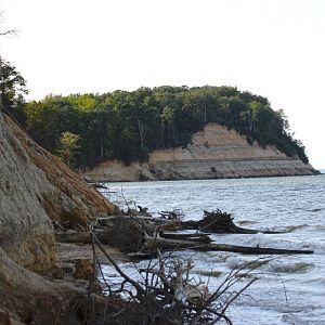 Calvert Cliffs