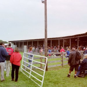 The audience stand