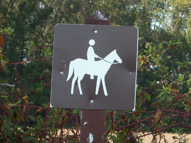 06_Mon_on_a_horse