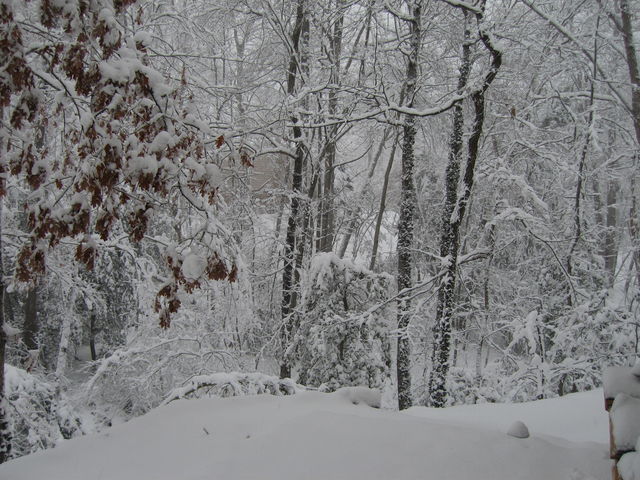 1 Mar 2009 Snow in Town Creek