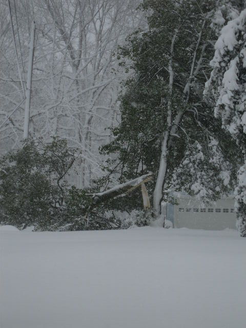 1 Mar 2009 Snow in Town Creek