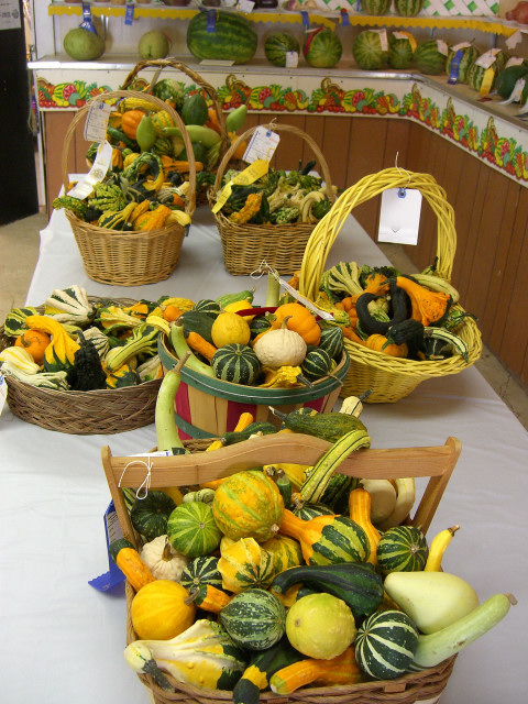 2006 Charles County Fair