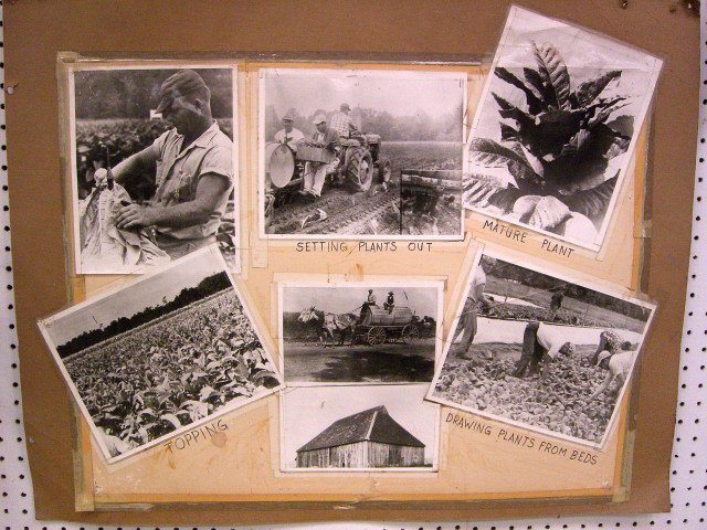 2006 Charles County Fair