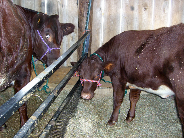 2006 Charles County Fair