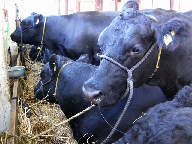 2006 Charles County Fair