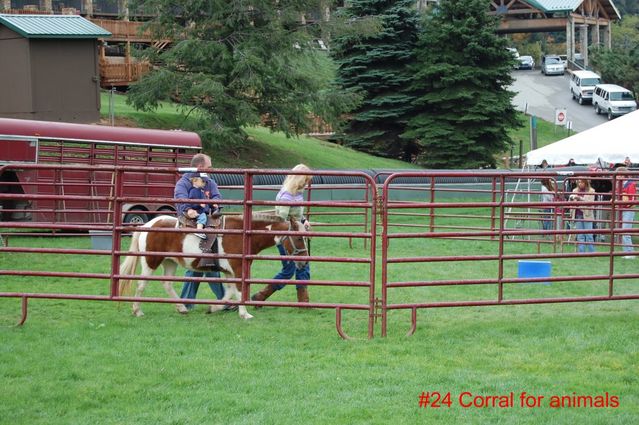 #24 Animal corral