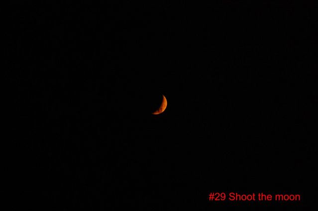 #29 Shoot the moon