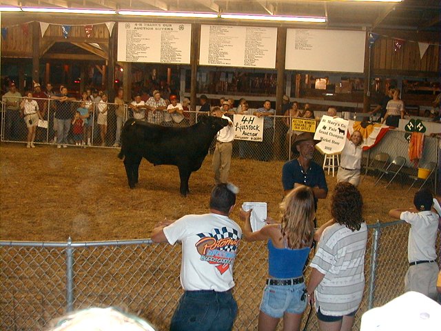 4-H Auction