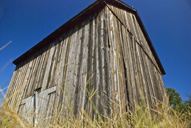 #41 An Old Barn