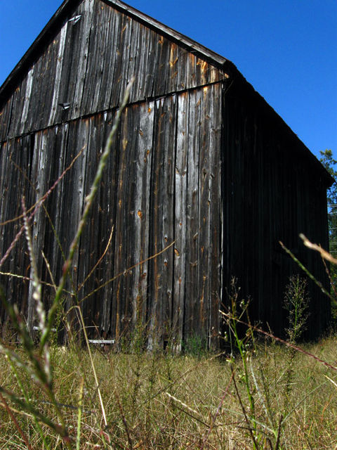 # 41 Old barn