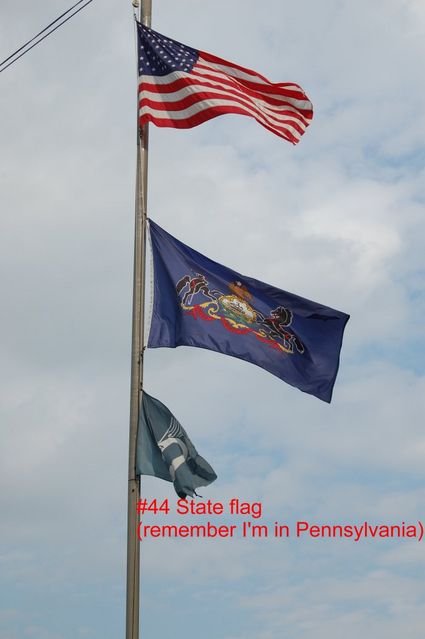 #44 State flag