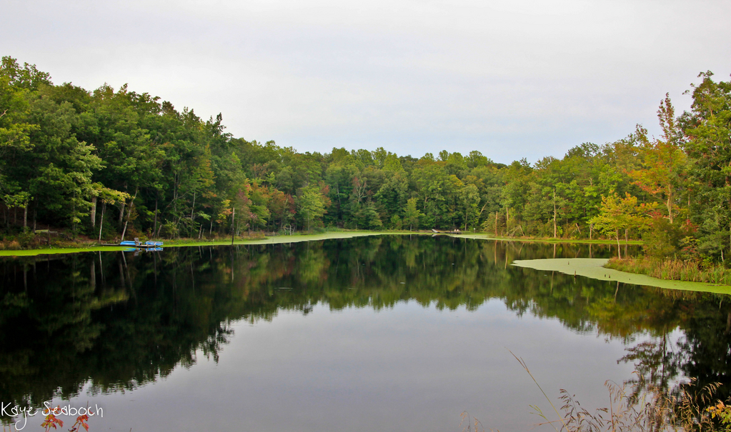 A small lake off of 235