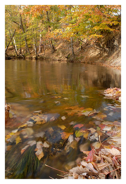 A Southern Maryland Fall