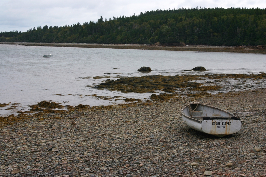 A Wee Dinghy