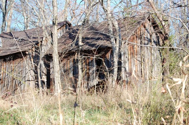 Abandoned Bldg.