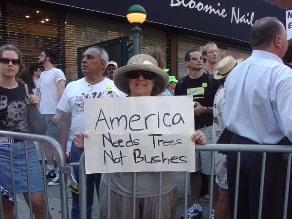America Needs Trees, Not Bushes