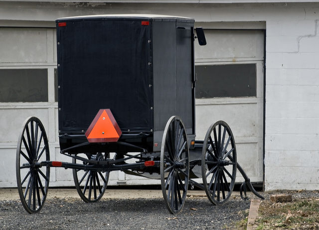 Amish Buggy