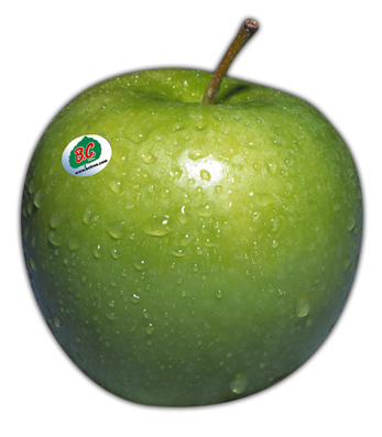 apple 3