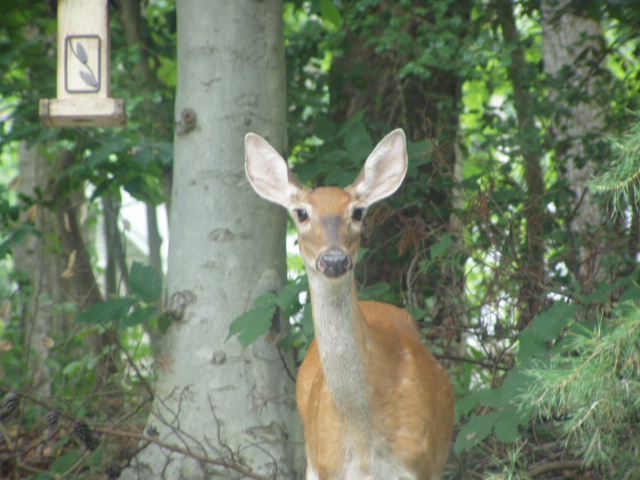 Are you looking at me?