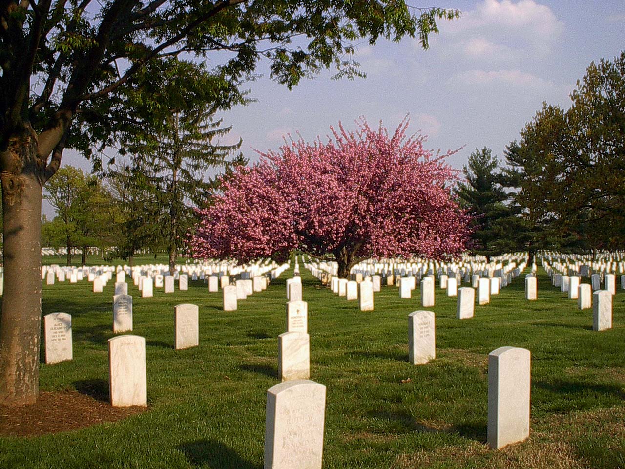 Arlington National Cemetary