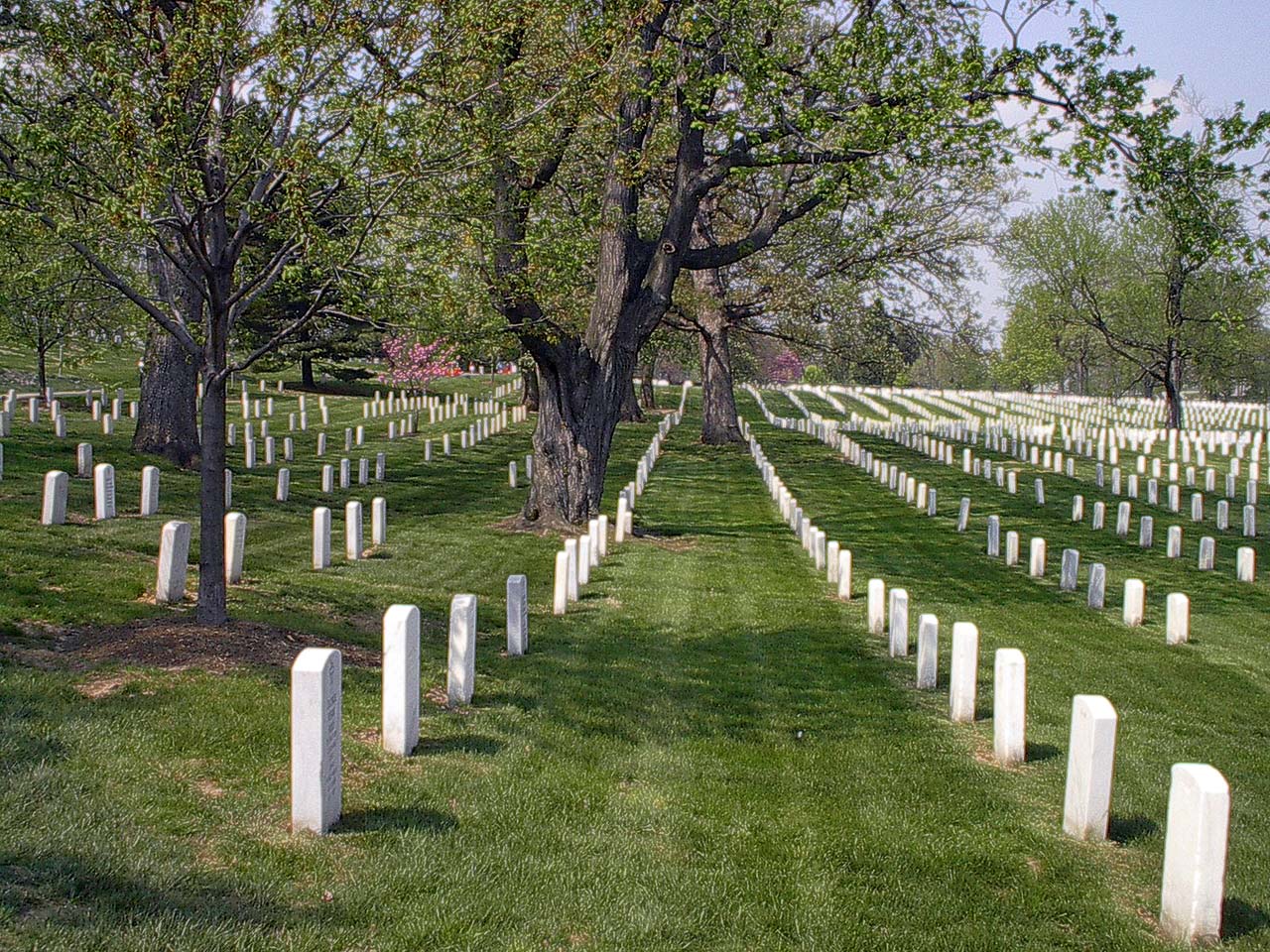 Arlington National Cemetary