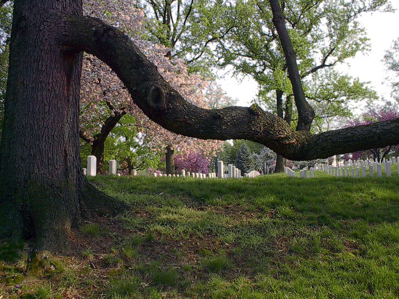 Arlington National Cemetary