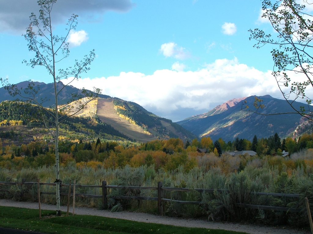 Aspen in October