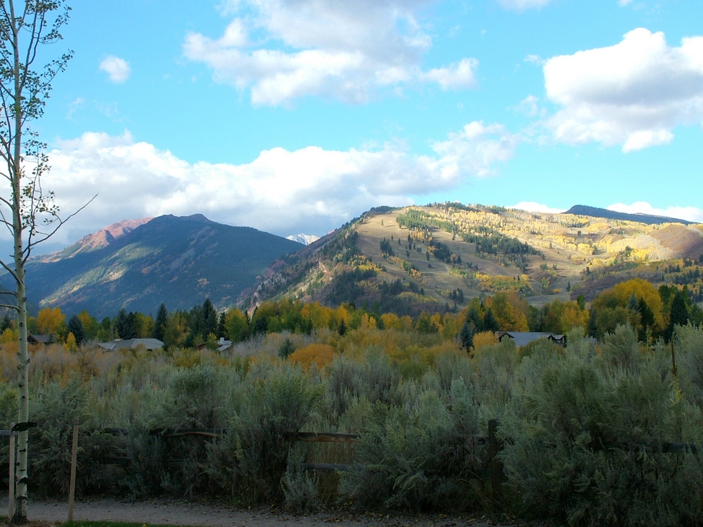 Aspen in October