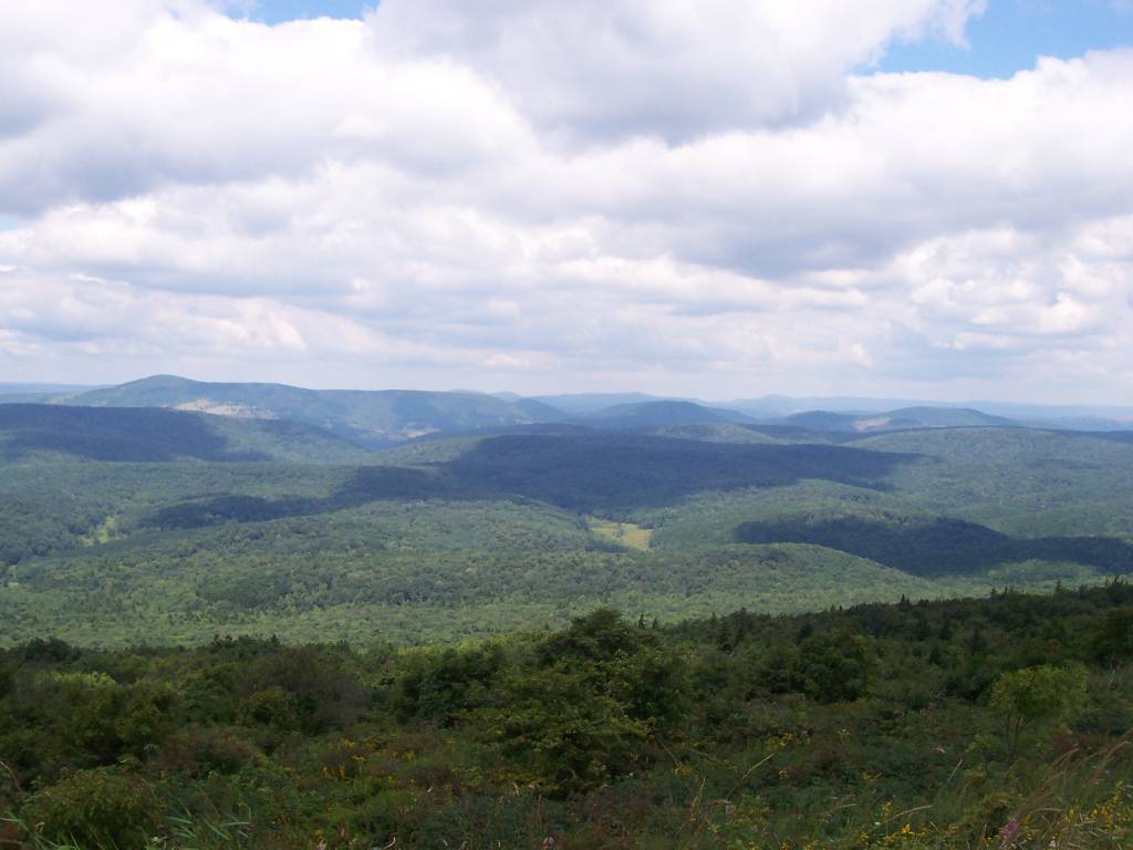 At the top of Spruce Knob