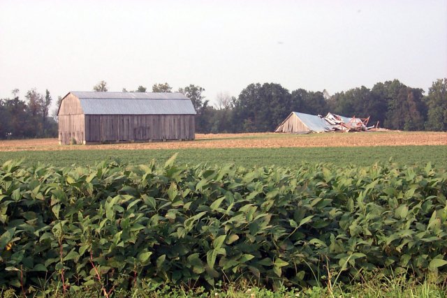 Barn Down off of Route 234