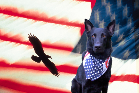 Best Flag, Best Bird, Best Friend