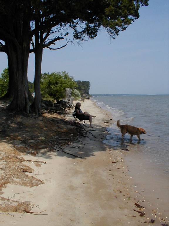 Best Friends at Elms Beach