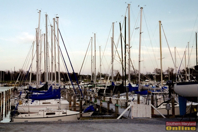 Boats in their Slips