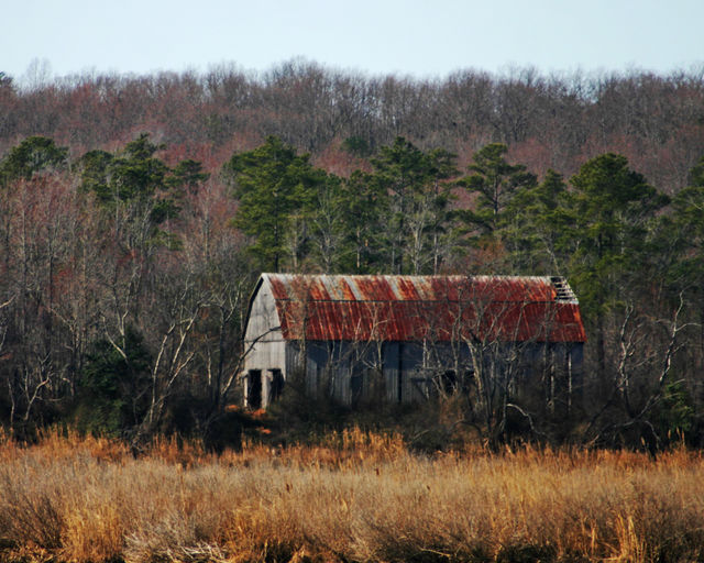 Breton Bay Barn