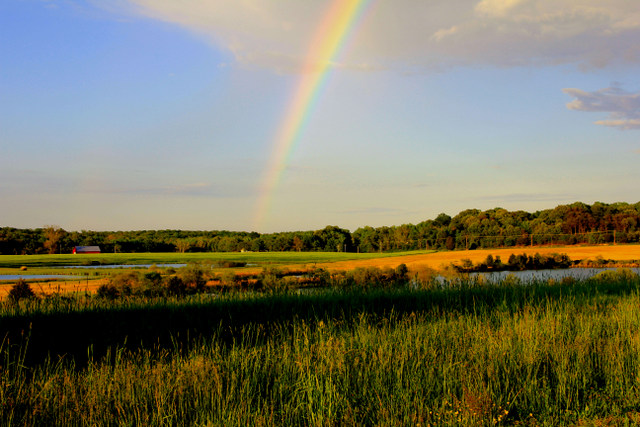 Breton Bay Rainbow