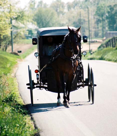 Buggy on the Road