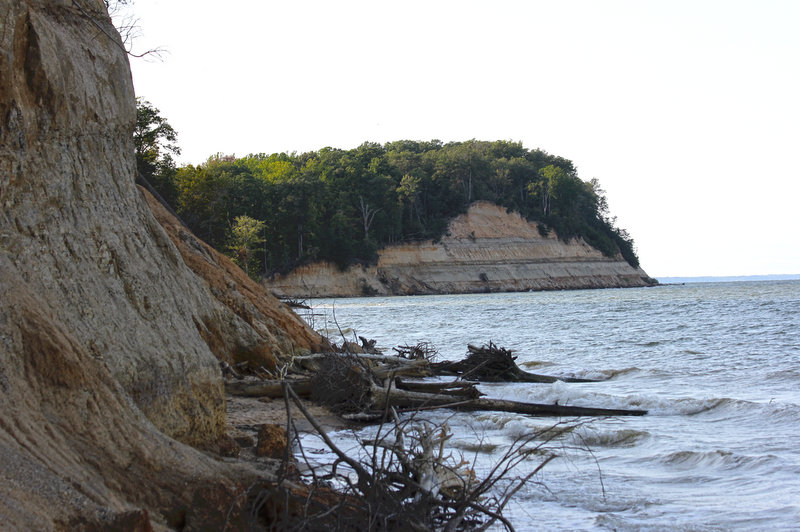 Calvert Cliffs