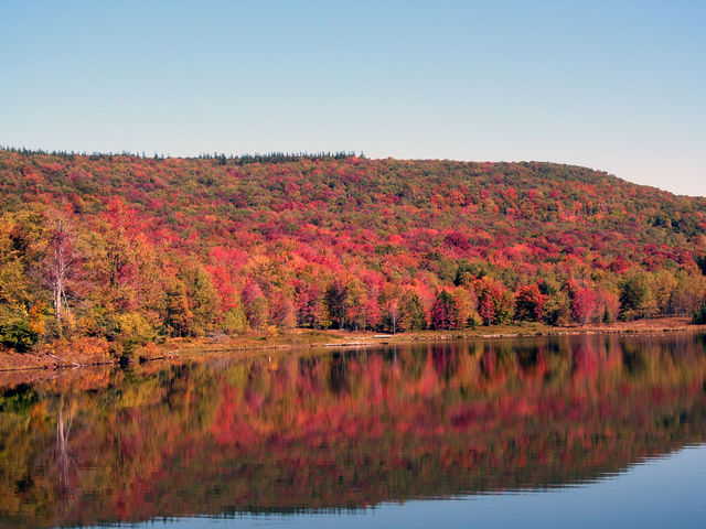 Canaan Valley WV pond in fall