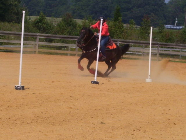 carles county fair 4h horse show 06