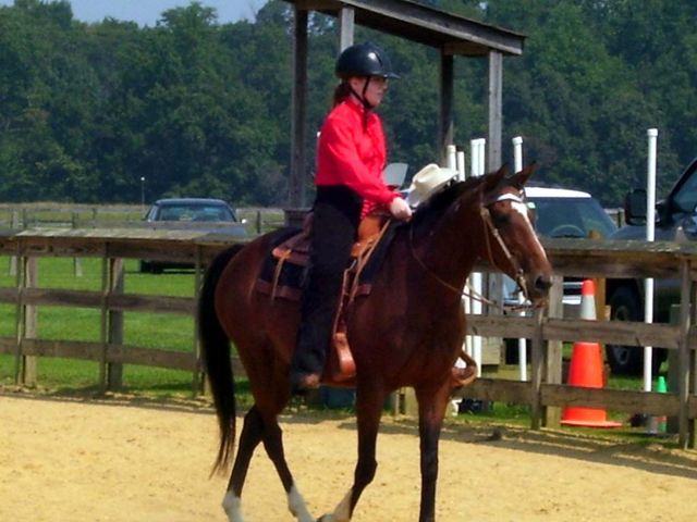 carles county fair 4h horse show 06