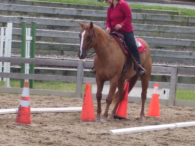 cassie and ace in trail class