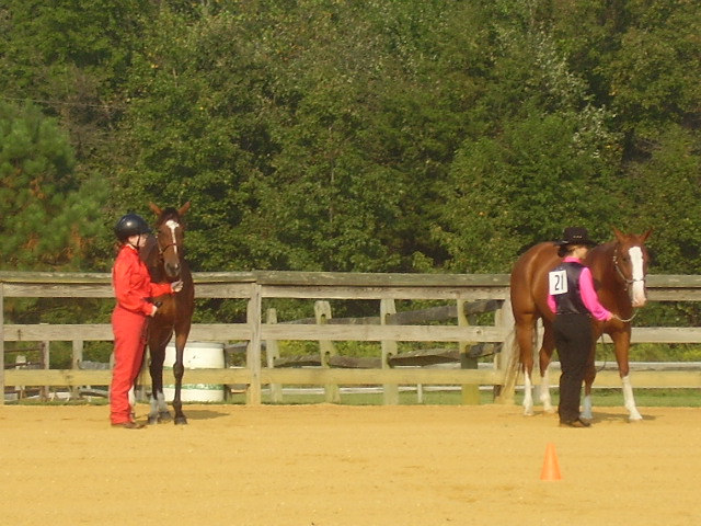 cc fair 4h horse show