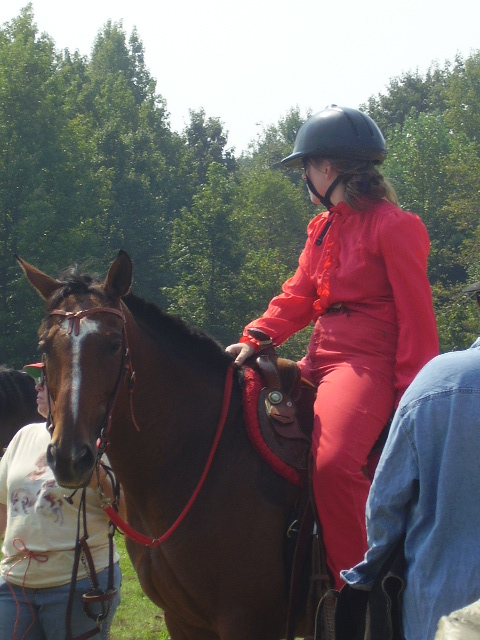 cc fair 4h horse show