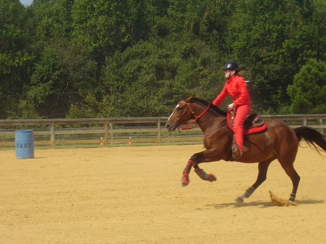 cc fair 4h horse show