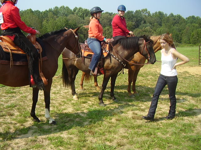 cc fair 4h horse show