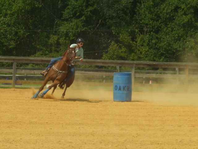 cc fair 4h horse show