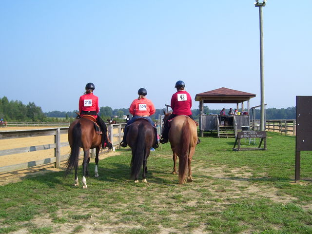 cc fair 4h horse show