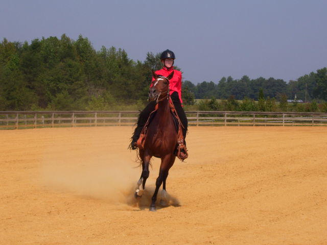 cc fair 4h horse show