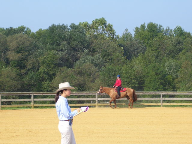 cc fair 4h horse show