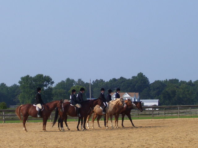 cc fair 4h horse show